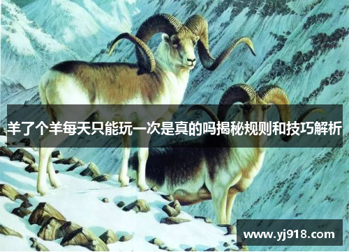 羊了个羊每天只能玩一次是真的吗揭秘规则和技巧解析