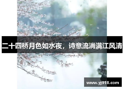 二十四桥月色如水夜，诗意流淌满江风清